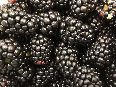 Closeup of a pile of blackberries