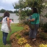 woman standing under a tree talking to another woman looking at the grass