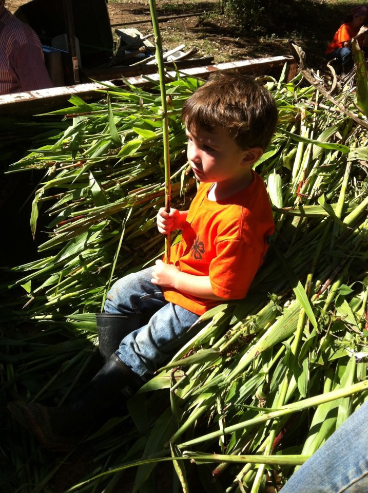 Young boy sitting on a pile of fresh corn.