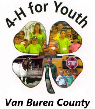 Van Buren County 4H represented inside clover