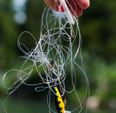 tangled fishing line