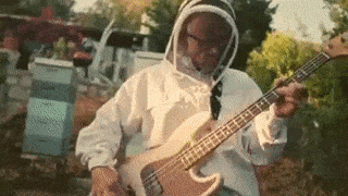 funky rock star Flea jamming on his bass in front of his bee hives