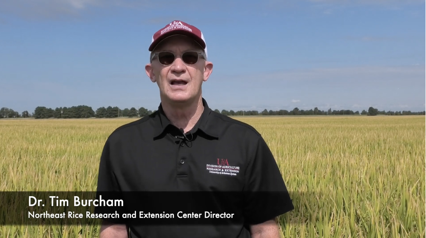 Tim Burcham in a rice field