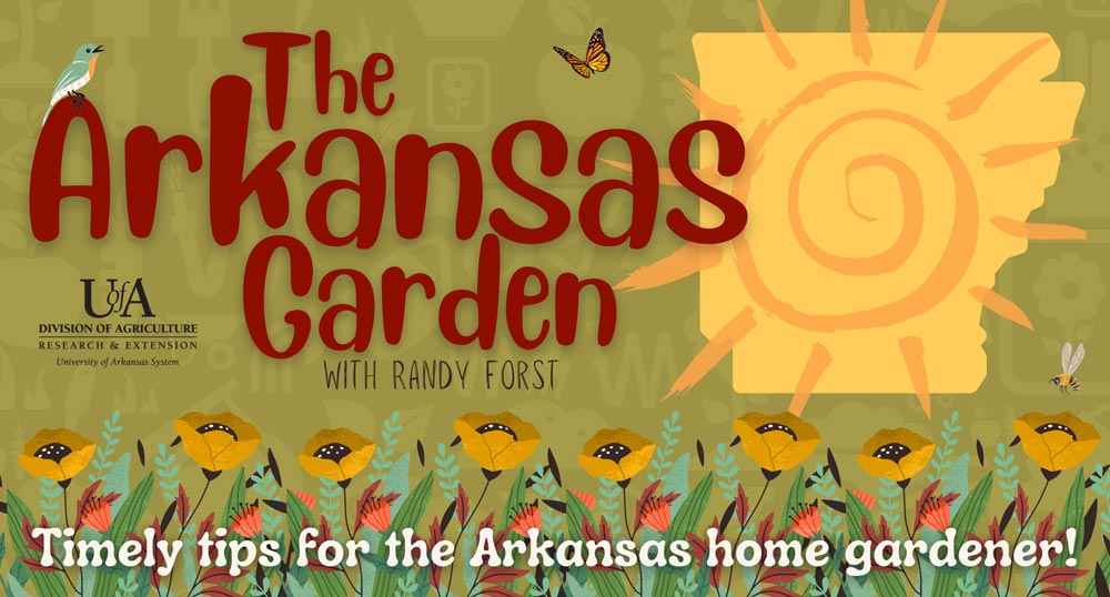 The Arkansas Garden With Randy Forst