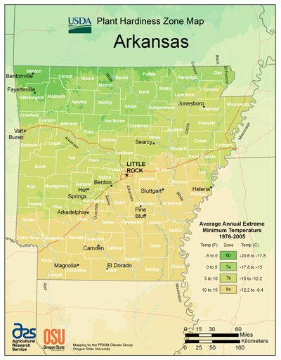 Picture of the U S D A Plant Hardiness Zone Map of Arkansas