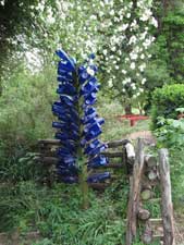Picture of a bottle tree