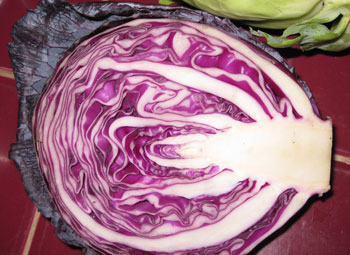 Picture of red cabbage.