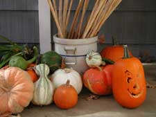 Picture of pumpkins and gourds on a porch