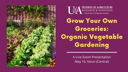 Grow Your Own Groceries Organic gardening