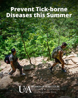 Two adults hiking on a trail