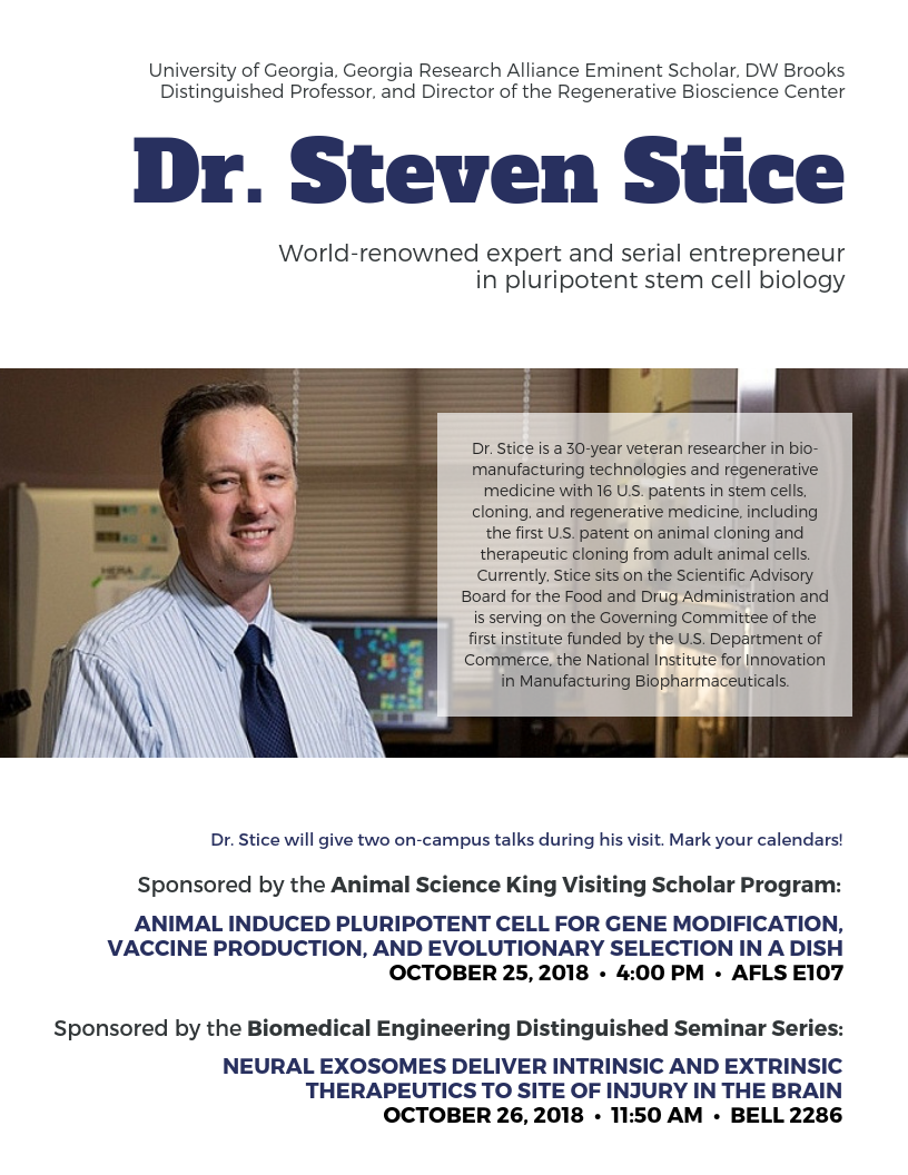 Stice flyer