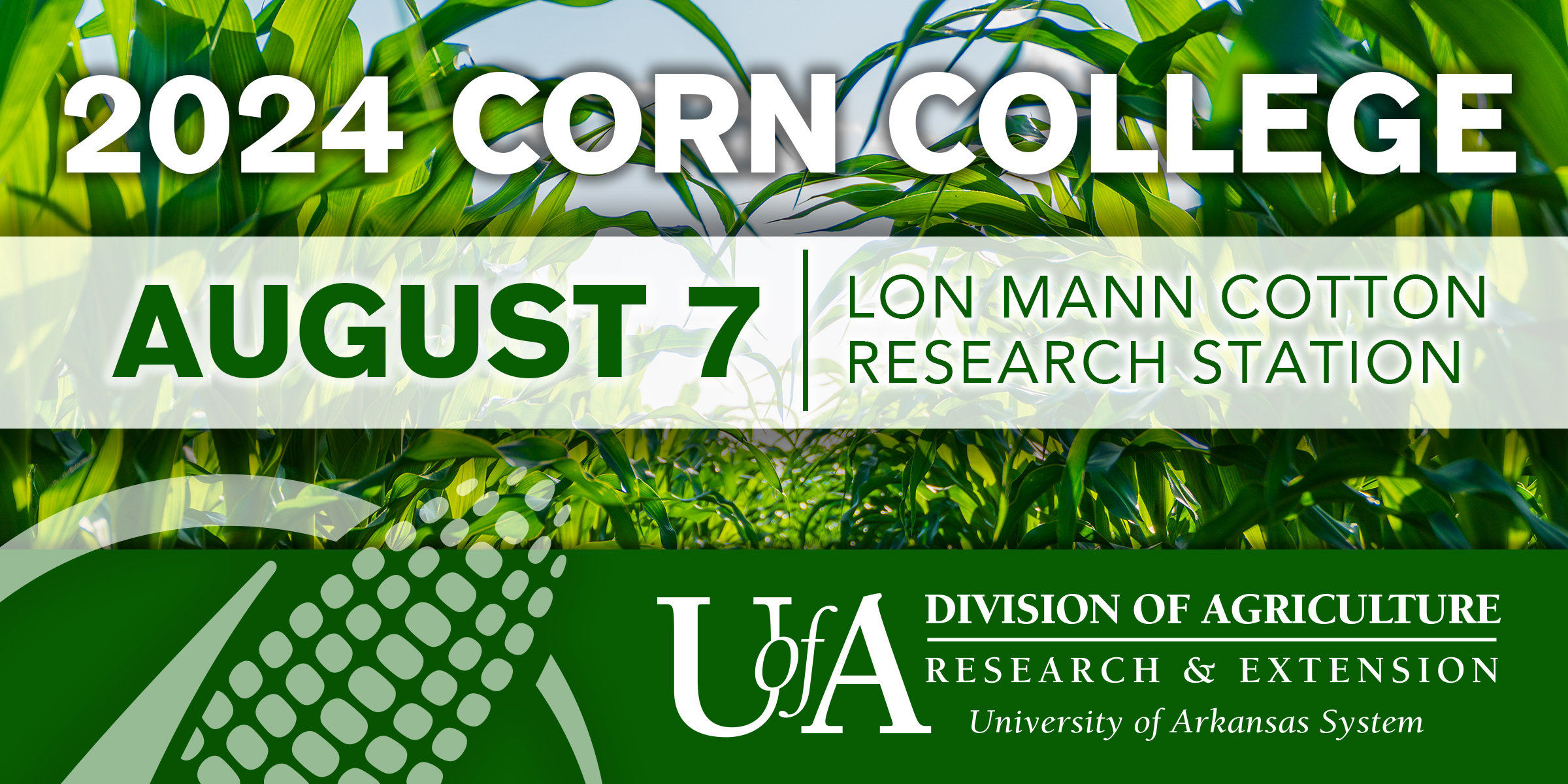 2024 Corn College graphic
