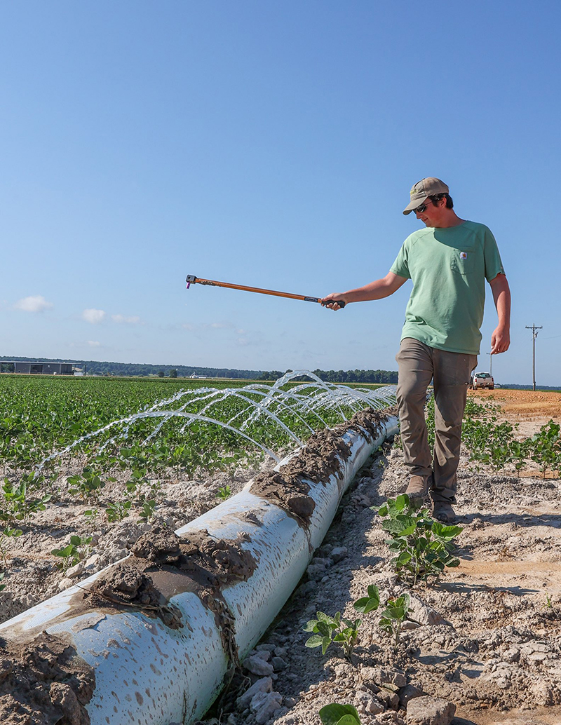 Field tech poking holes in polypipe to increase irrigation