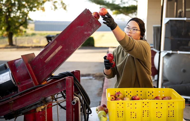 Student using an apple crusher.