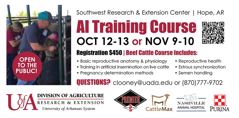 Flyer for artificial beef insemination workshop