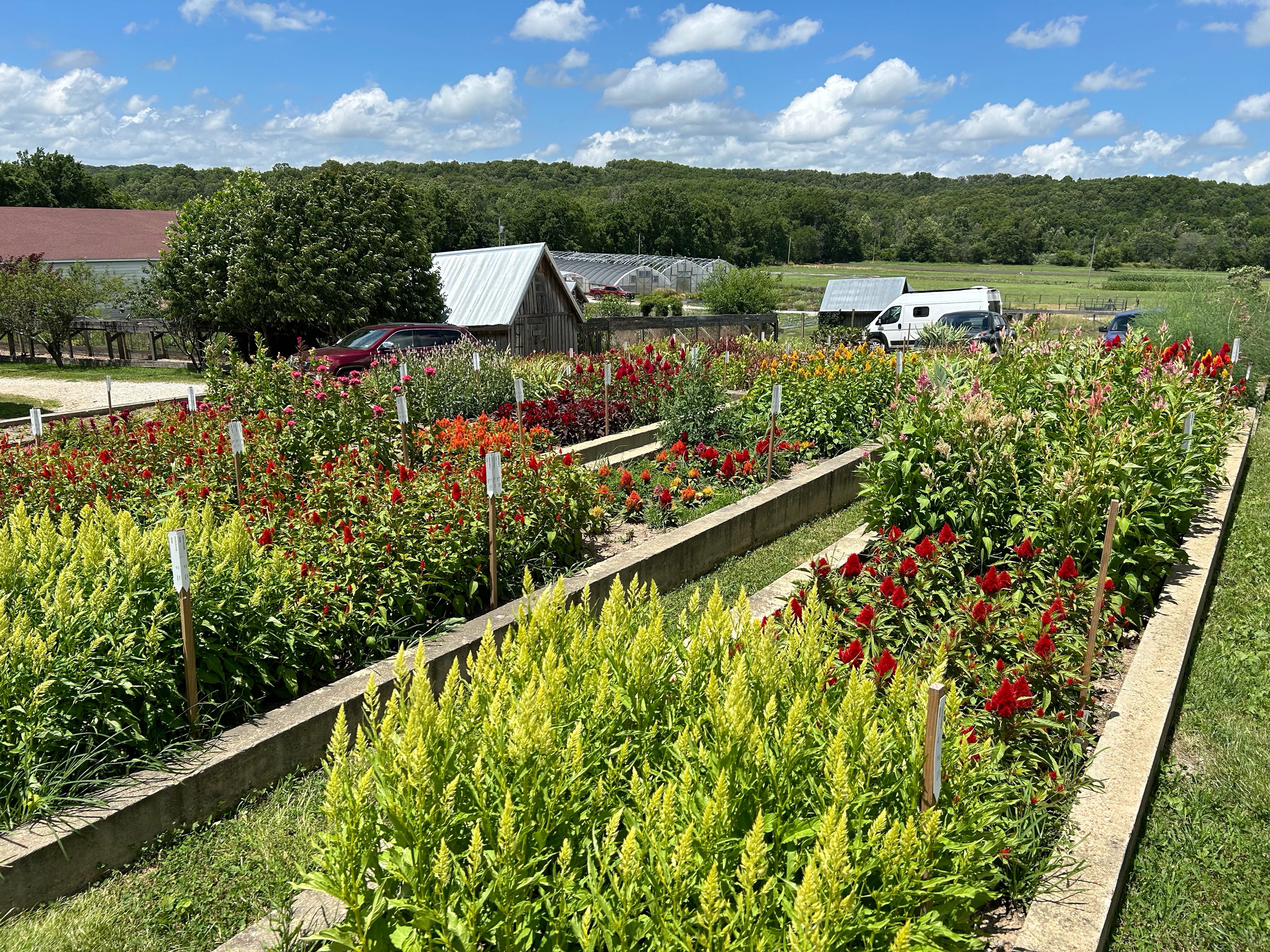 Baker Creek Heirloom Seed Company