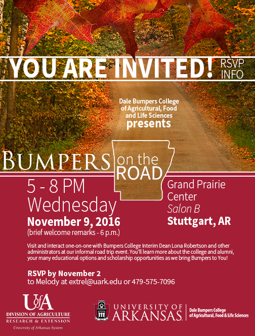 Bumpers on the Road invitation