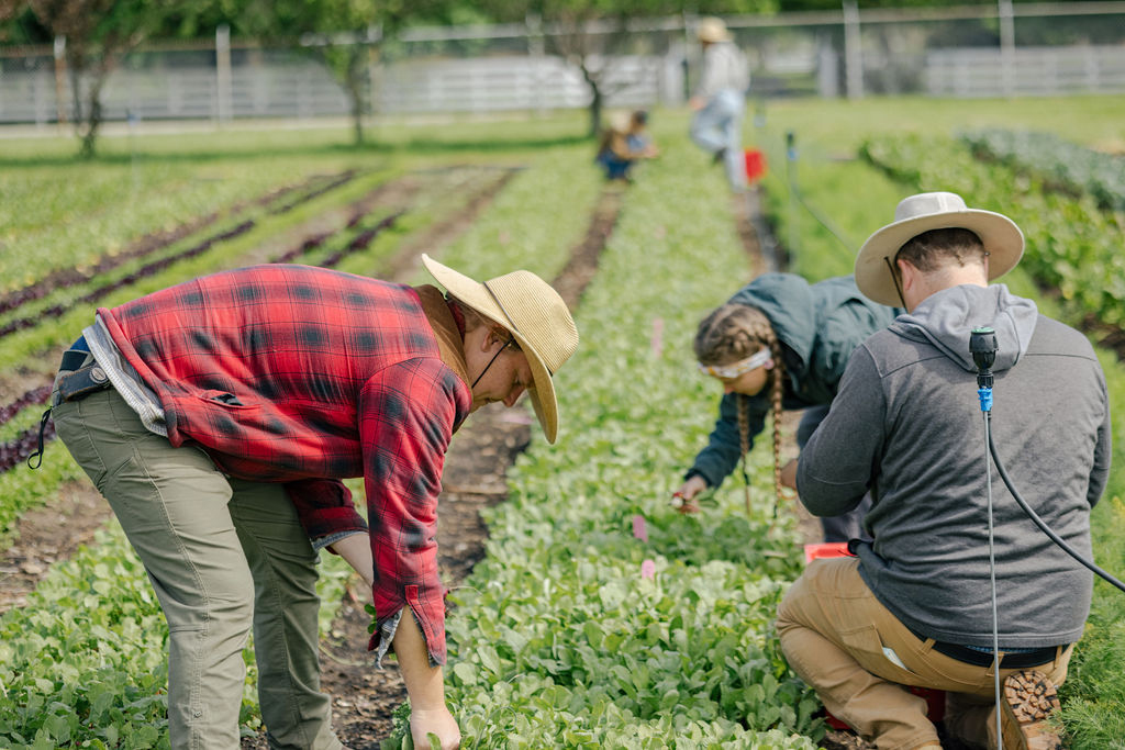 Farm educator and students in the field 