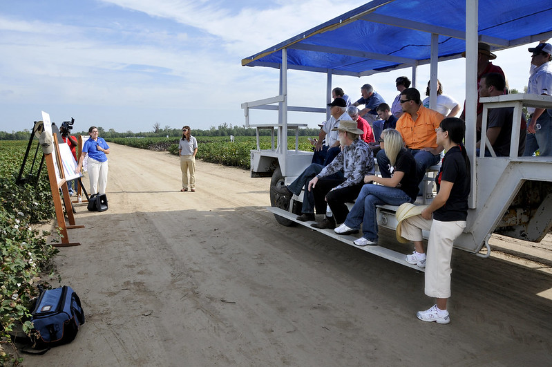 Field day goers listen to a presentation in the field