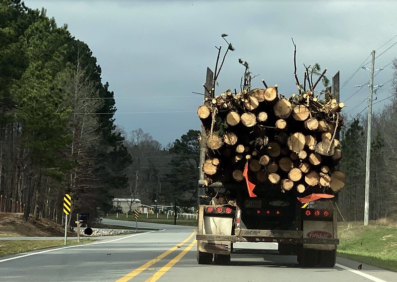 Logging truck with load