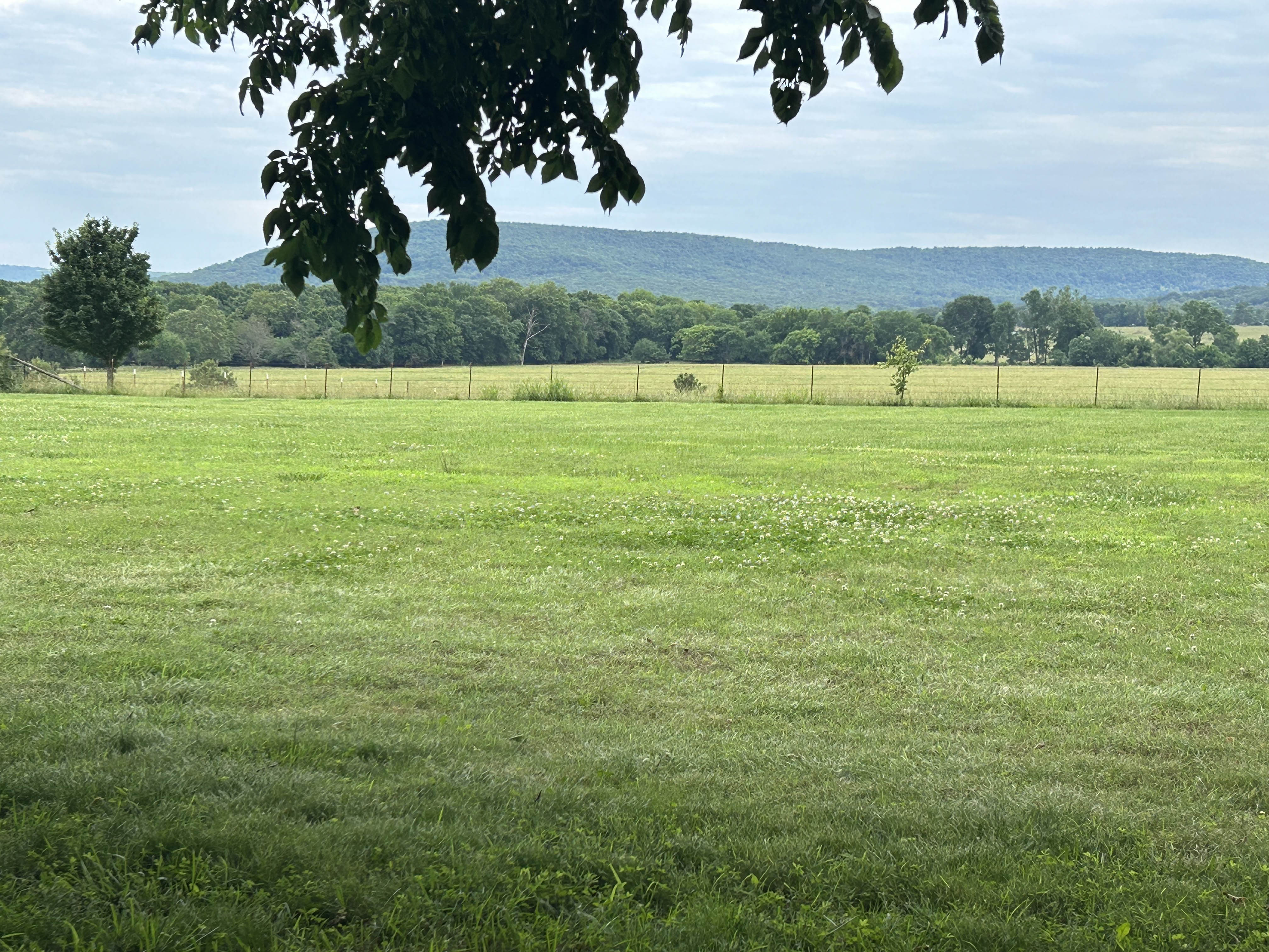 Evenly-mowed field