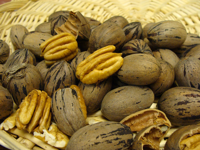close-up of pecans, some in shells