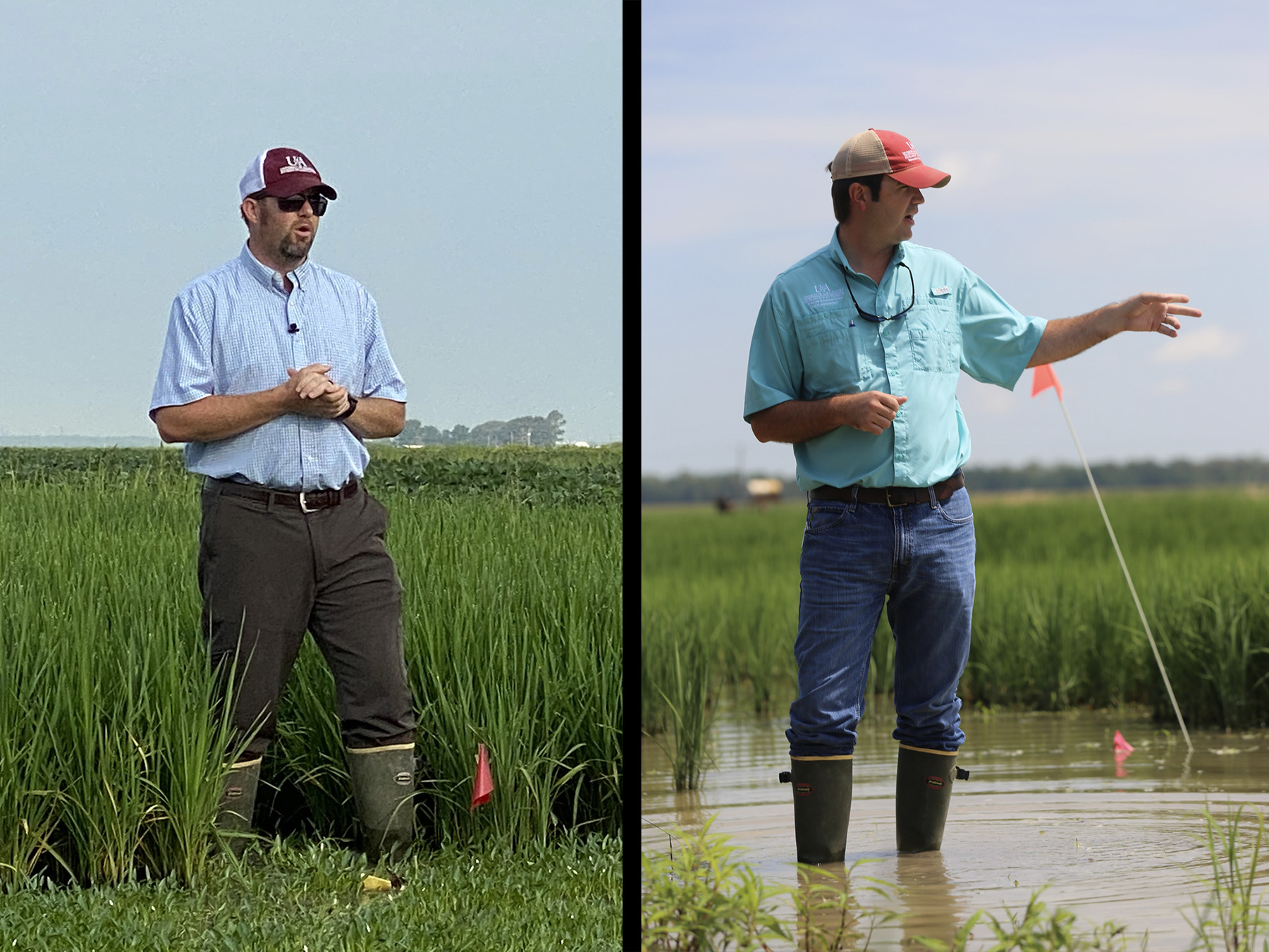 Trent Roberts and Jarrod Hardke in the field