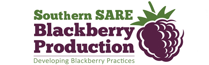 SARE Blog SARE Blog
