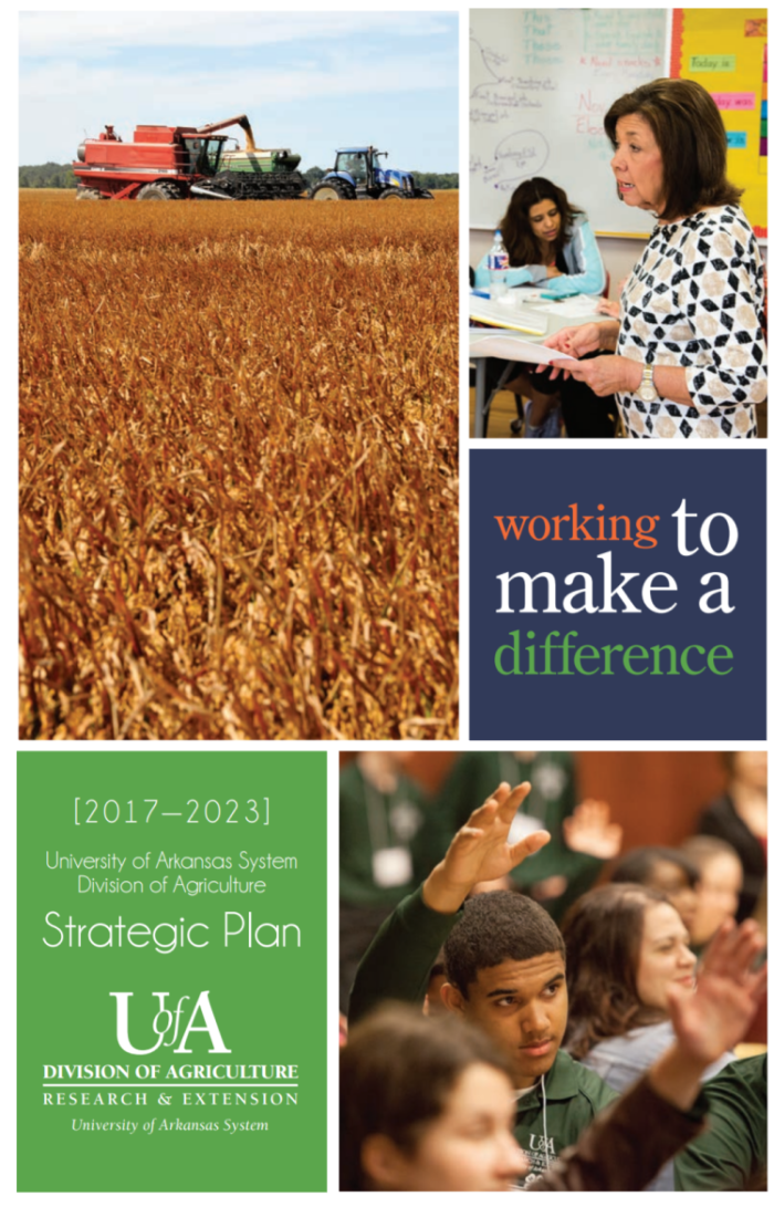 Division Strategic Plan