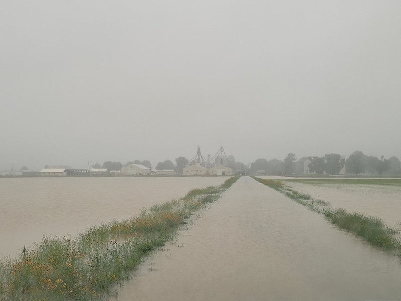 Stuttgart flooding Flooding at rice center in Stuttgart