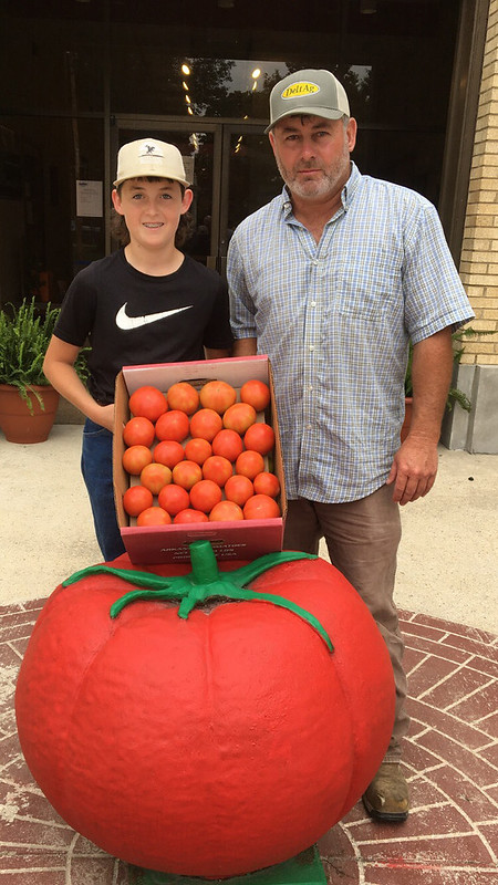 First box of tomatoes in 2021 to Bradley Co Extension Office 