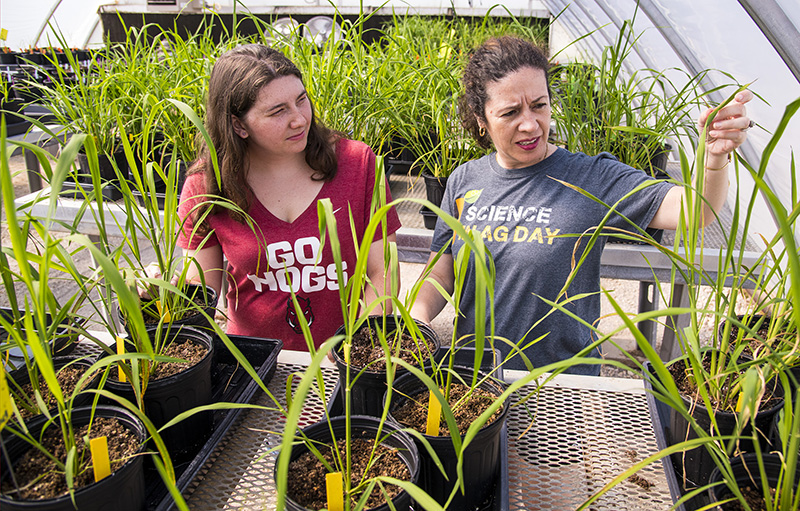 Ag student in a greenhouse iwth a professor 