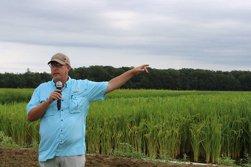 Nick Bateman addressing attendees at the Pine Tree Research Station field day in 2023.
