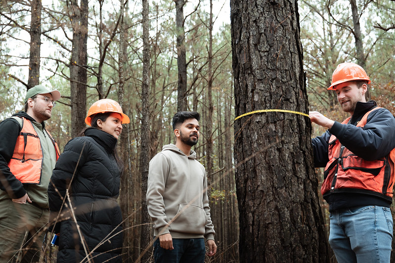 Forestry students and a tree