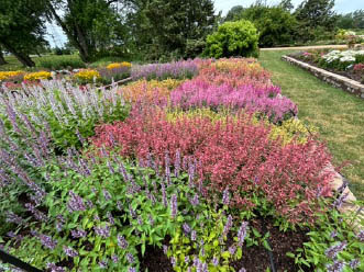 urban garden