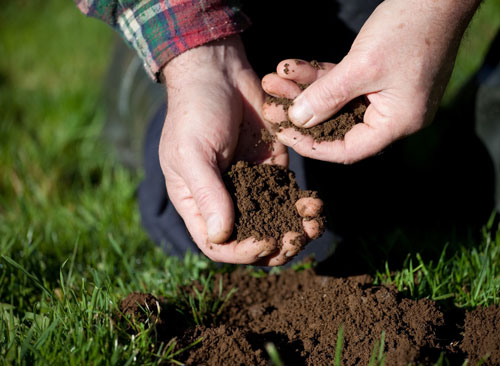 Soil Tests for Arkansans