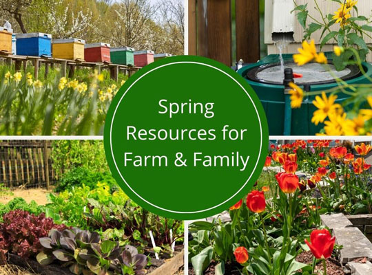 Spring Resources Spring Resources