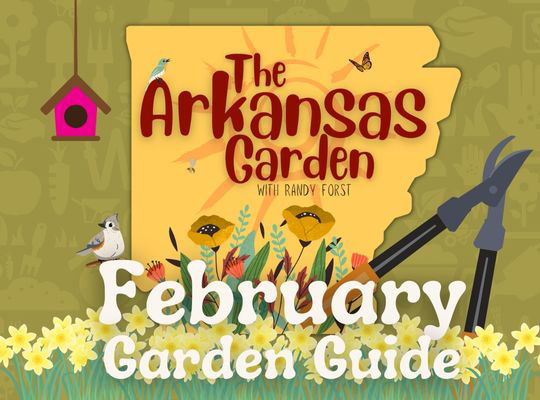 february garden guide