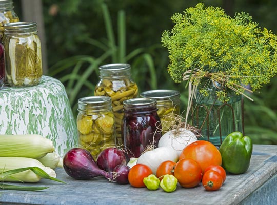 fresh vegetables and homemade pickles in Ball canning jars without the jar ring ready to eat