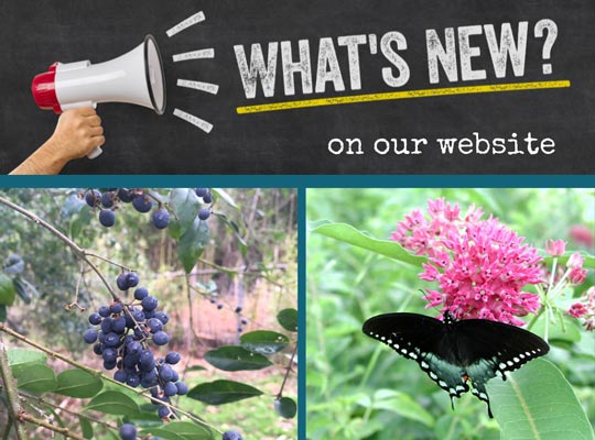 See What's New