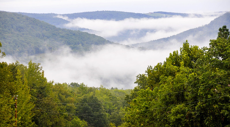 View of the Ozark forests