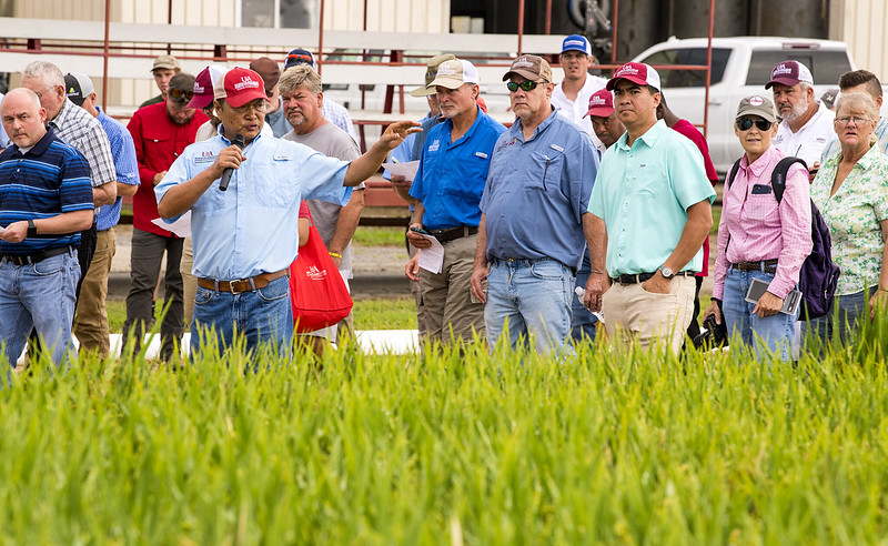 Instructor speaking in field of rice