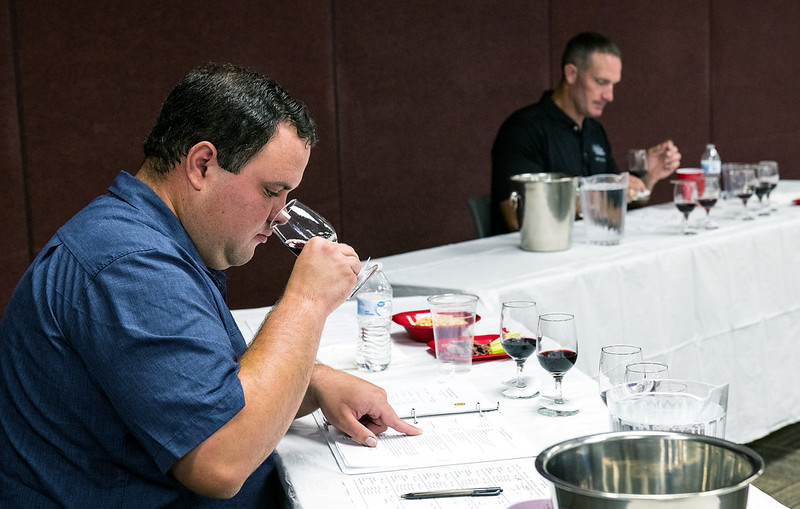 Two judges tasting wines