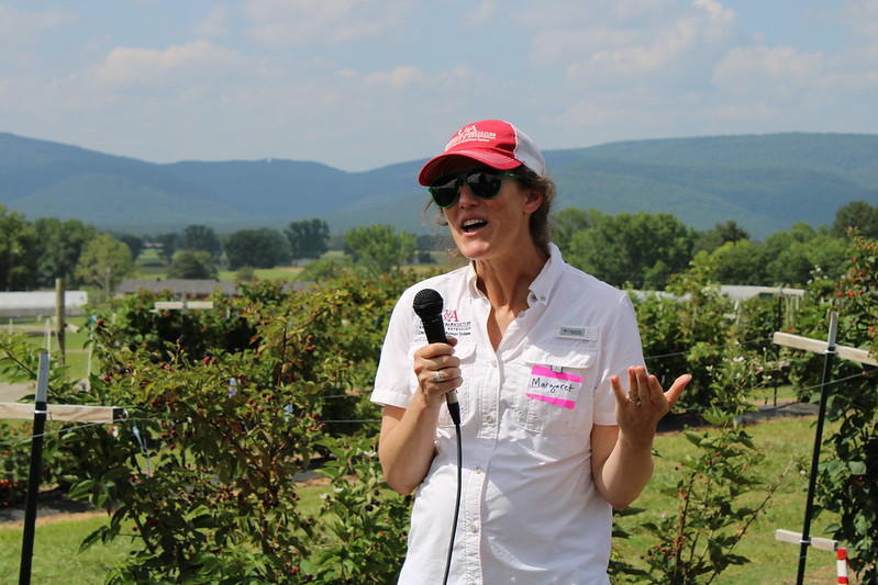 Margaret Worthington addressing crowd at Blackberry field day