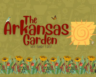 The Arkansas Garden