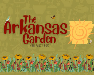 Arkansas Garden Blog