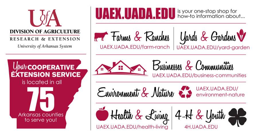Extension 2023 impact infographic link to pdf