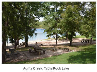 Red Leaf Forestry photo from customer testimonial
