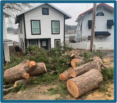 Red Leaf Forestry, Inc.