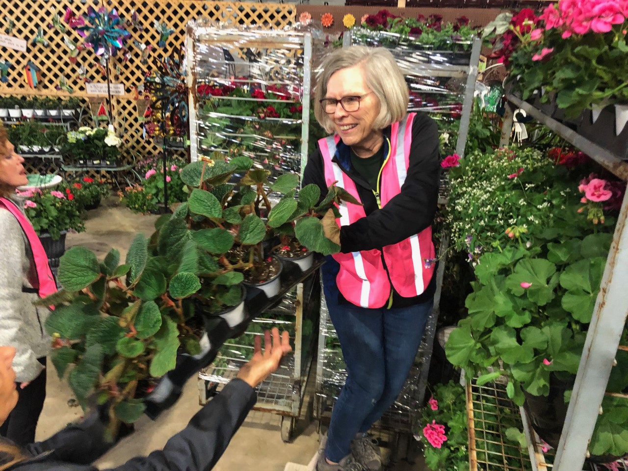 Woman handing plate of pink flowers to someone off camera